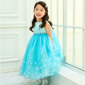 Ai Meng Baby Elsa Dress (size 5T)